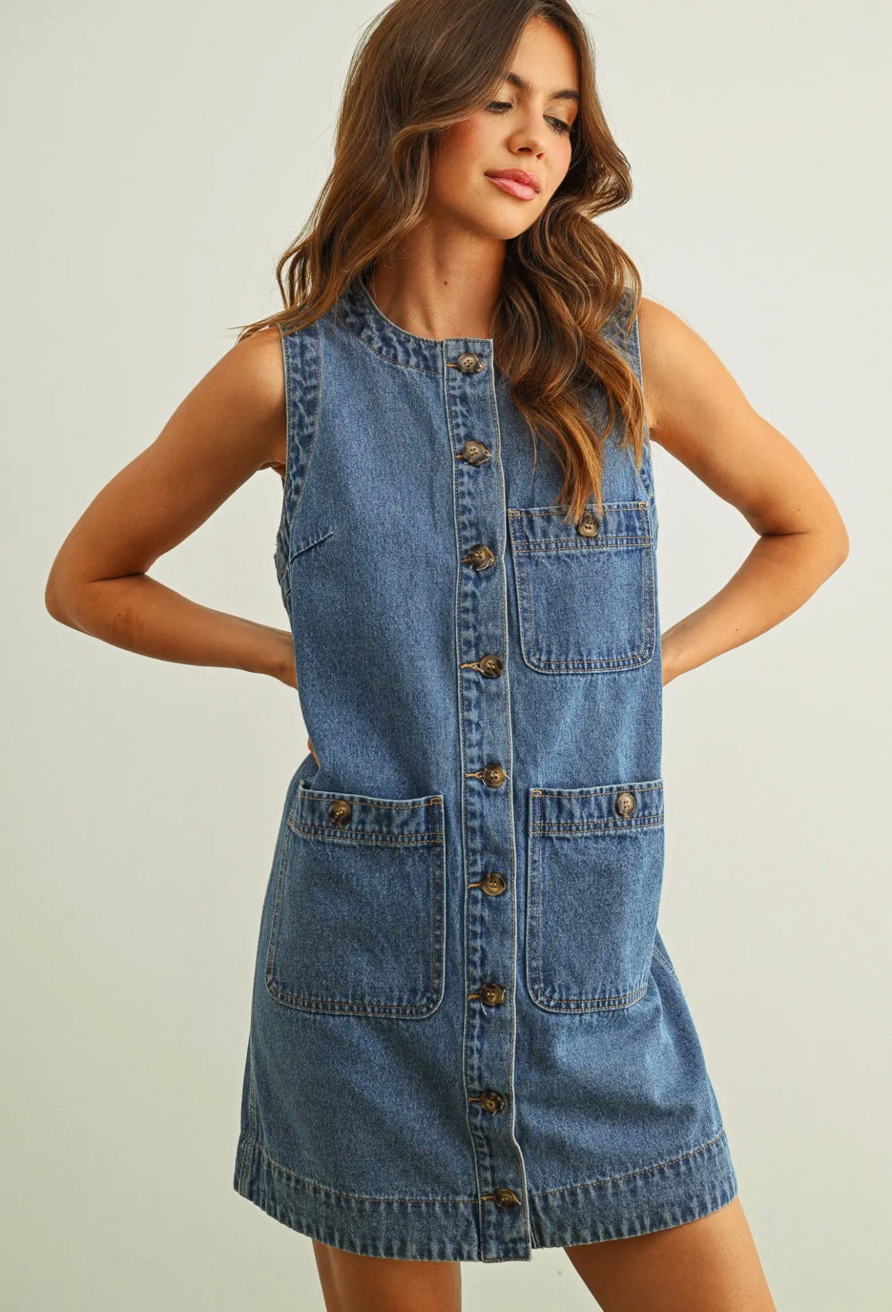 The Dakota Denim Dress