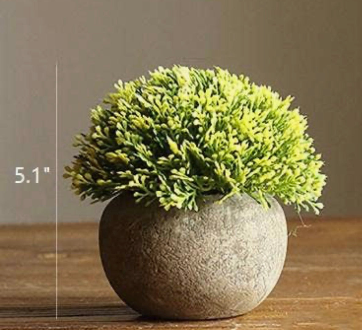 Faux Boxwood