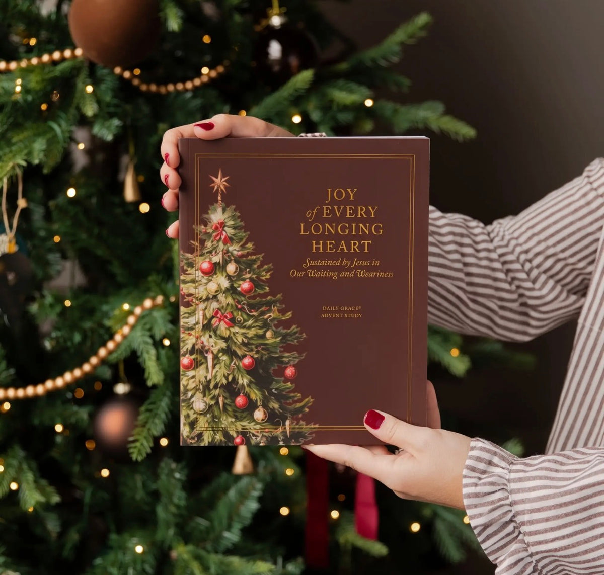 Joy of Every Longing Heart Advent Study
