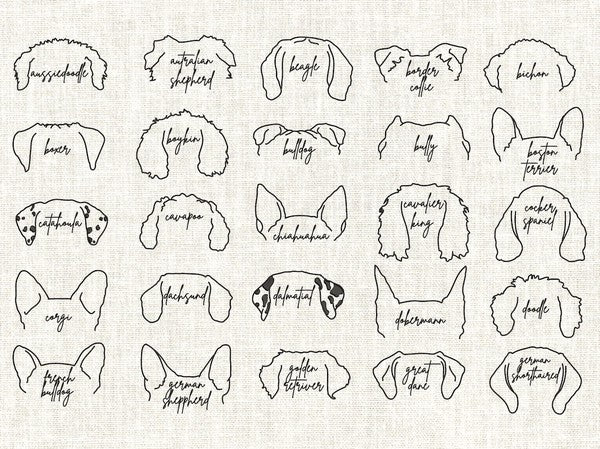 Custom Dog Ears With Name & Paw Embroidered Swsh