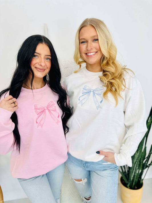 Coquette Embroidered Bow Sweatshirt