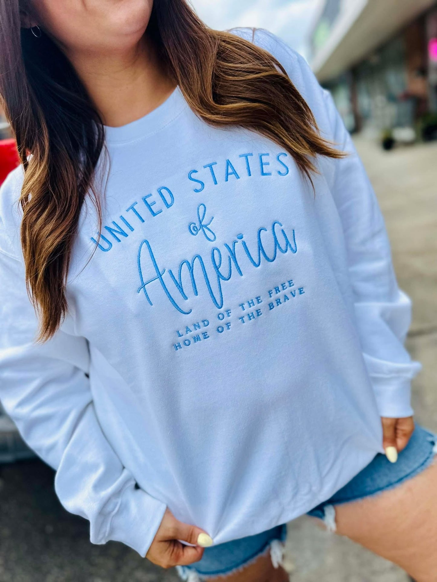 Light blue sweatshirt with 'United States of America LAND OF THE FREE HOME OF THE BRAVE' embroidery worn by a person outdoors.
