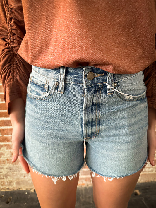 Vintage High Rise Denim Short