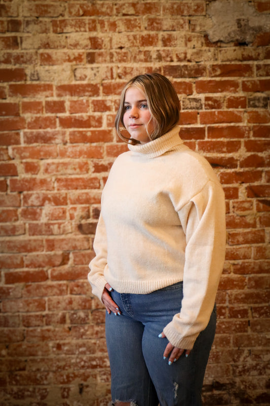 Arctic Whisper Turtleneck