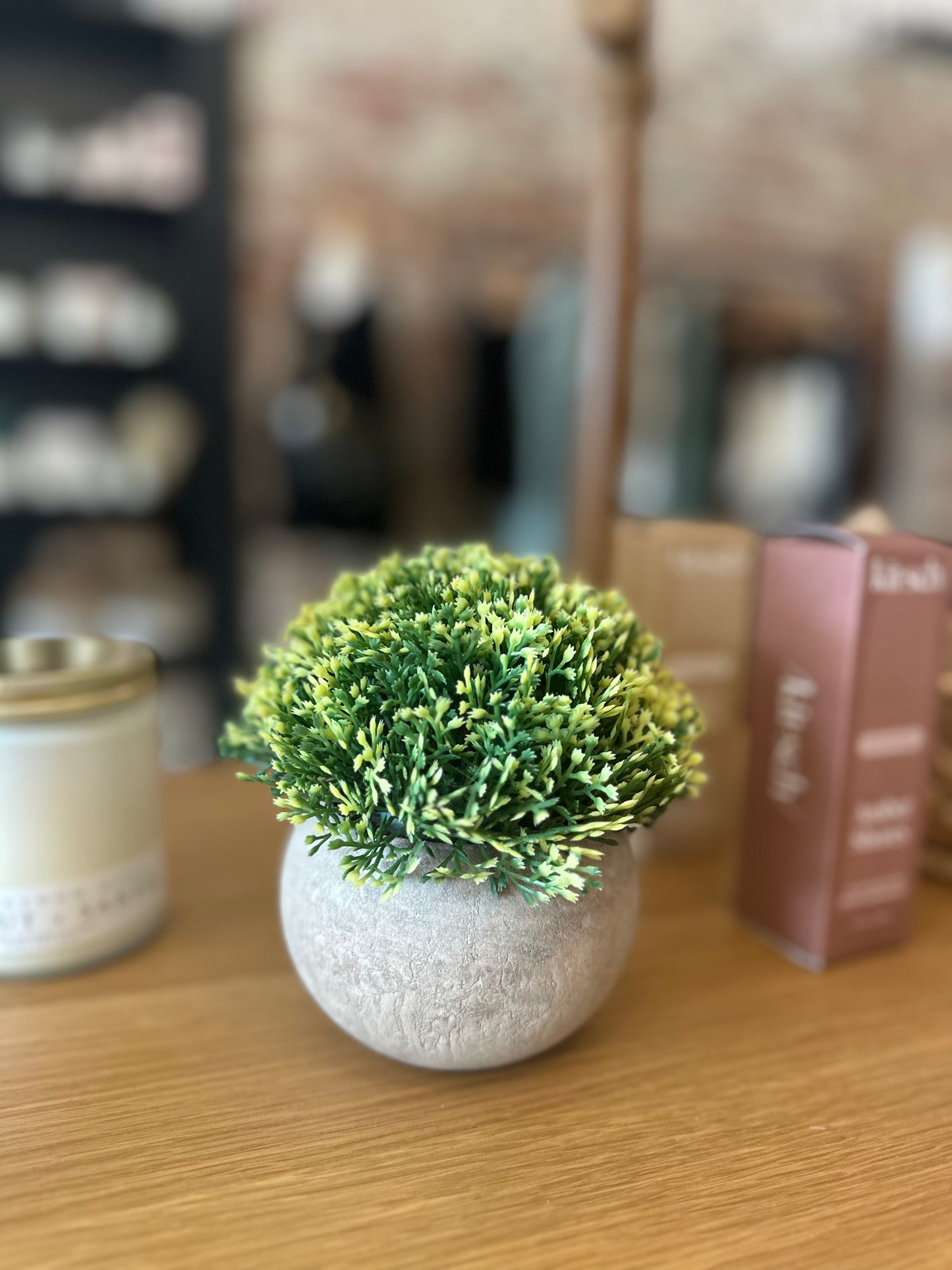 Faux Boxwood