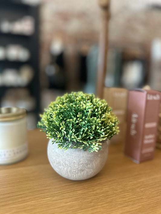Faux Boxwood