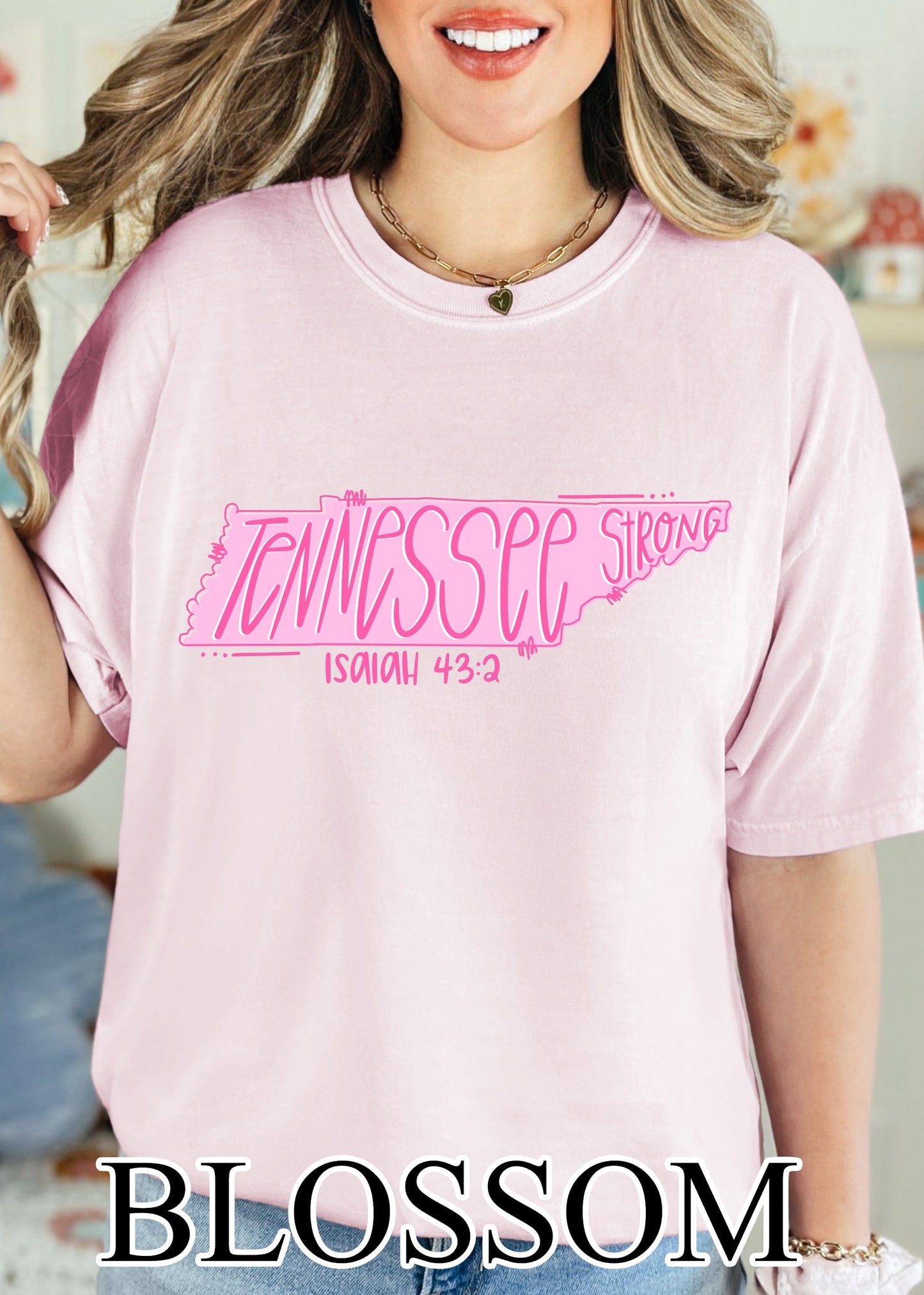 Hurricane Helene Fundraiser State Isaiah 43:2